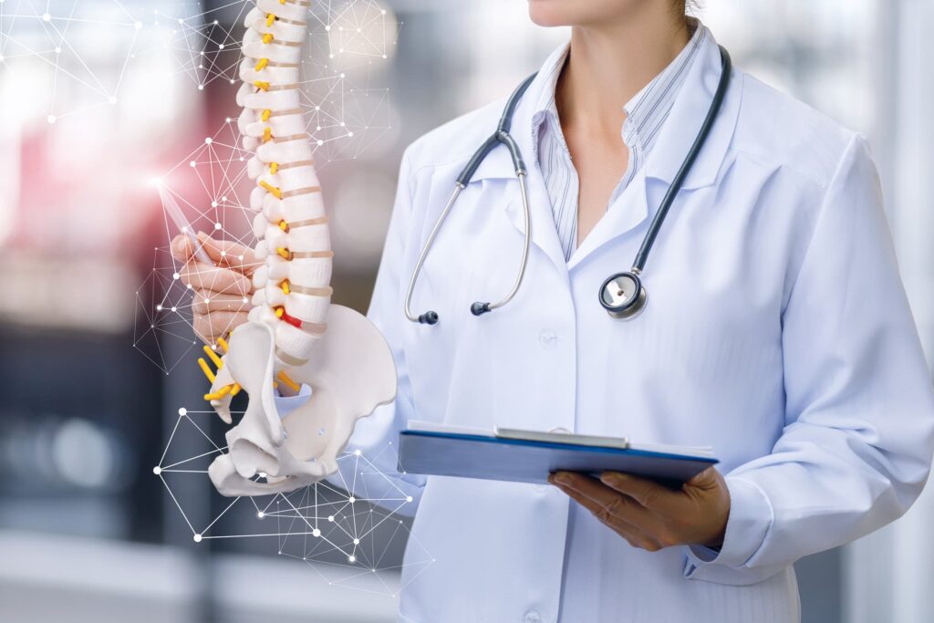 A medical worker shows the spine .
